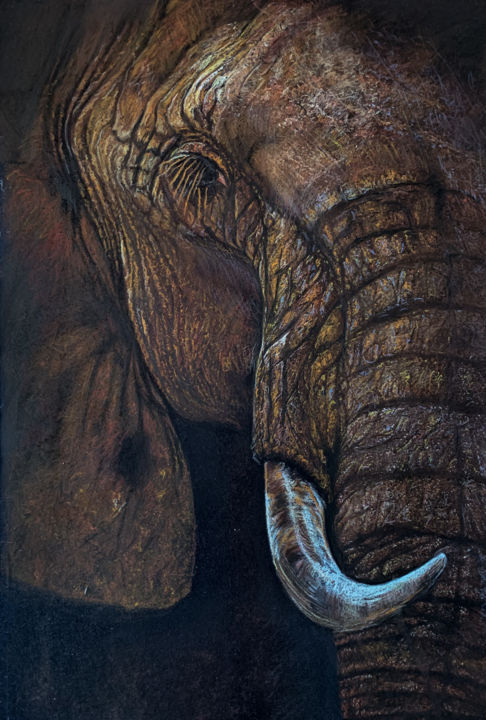Desenho intitulada "Éléphant triste" por Philippe Petit, Obras de arte originais, Pastel Montado em Outro painel rígido