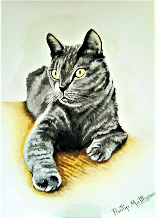 Painting titled "Cat" by Phillip Matthews, Original Artwork, Acrylic