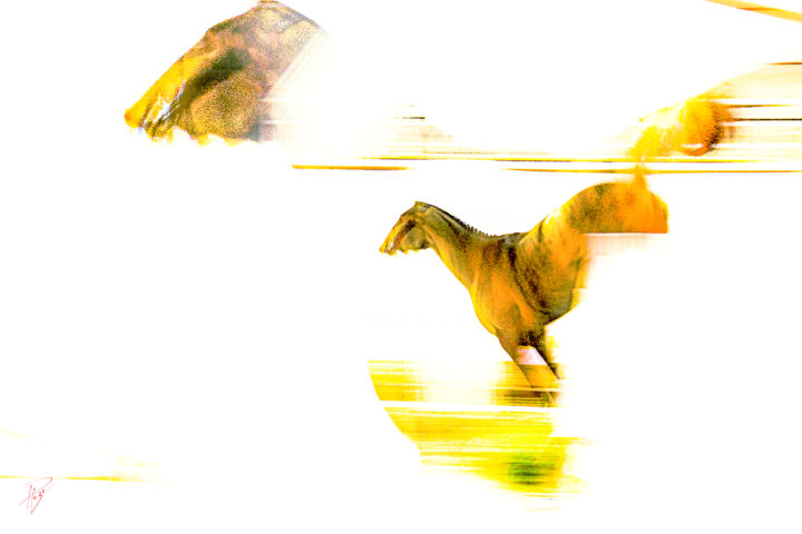 Photographie intitulée "Le cheval jaune" par Philippe Loze, Œuvre d'art originale, Photographie numérique