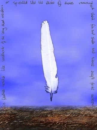 Grafika cyfrowa / sztuka generowana cyfrowo zatytułowany „blue sky,white feat…” autorstwa Lois Davies, Oryginalna praca