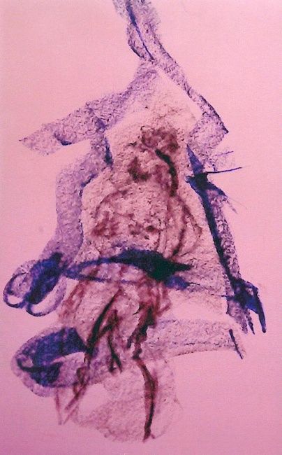 Drawing titled "Corpus 11" by Photini Marakakis, Original Artwork