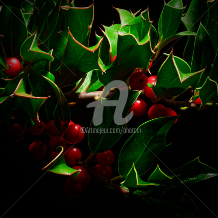 Photography titled "The holly (le houx)" by Alain Romeas (PhotoAR), Original Artwork, Digital Photography