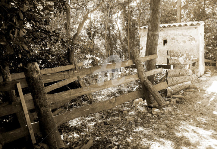 Photographie intitulée "Un dimanche au jard…" par Josiane Karanian Boularot, Œuvre d'art originale