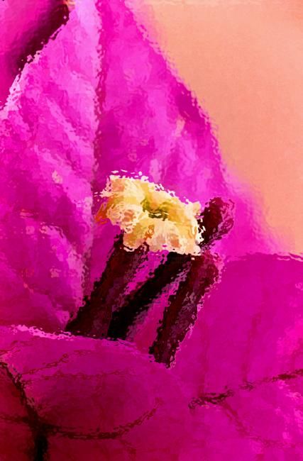 Photography titled "bougainvillier 2 tr…" by Harireche "Harimoart" Hari Mo Art, Original Artwork, Other