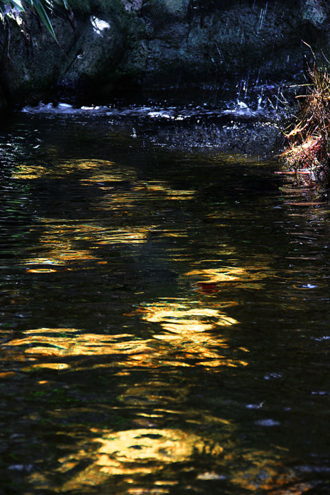 Fotografia intitulada "19-or-et-bleu.jpg" por Michel Hervo, Obras de arte originais