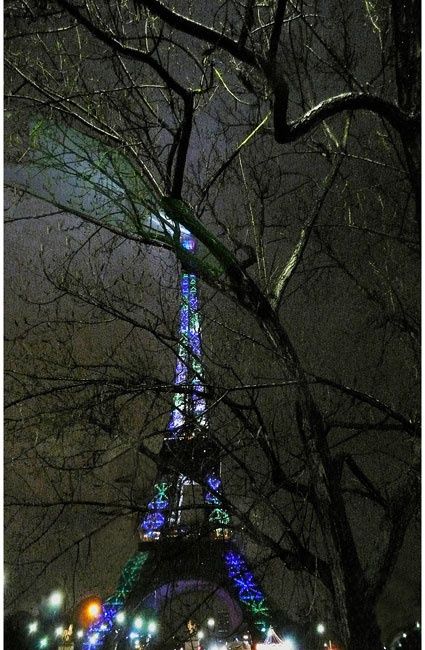 Fotografie mit dem Titel "...embrasse les arb…" von Michel Hervo, Original-Kunstwerk