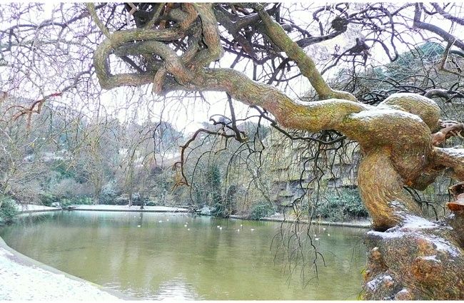 Fotografia intitolato "Le tortueux" da Michel Hervo, Opera d'arte originale