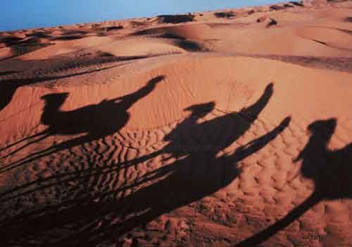 "Caravane Tunisie" başlıklı Fotoğraf Michel Hervo tarafından, Orijinal sanat