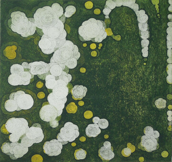 Incisioni, stampe intitolato "Éclosion de la lumi…" da Pia Chang, Opera d'arte originale, incisione