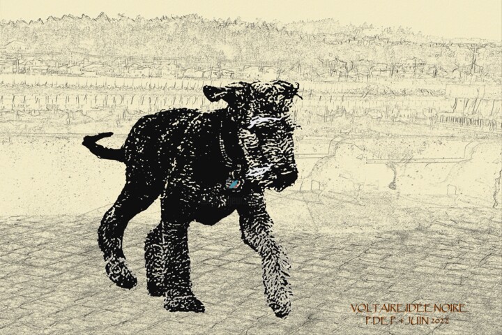 Arts numériques intitulée "Voltaire, idée noire" par Pia De Panicis, Œuvre d'art originale, Peinture numérique