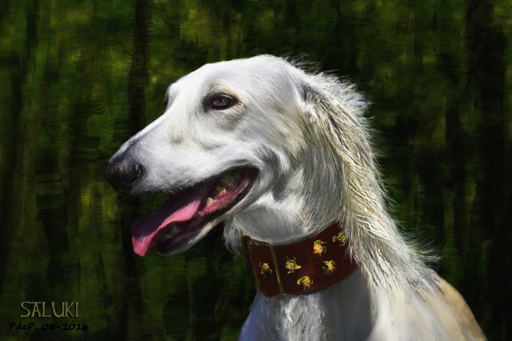 Digital Arts titled "Le Saluki" by Pia De Panicis, Original Artwork, Digital Painting