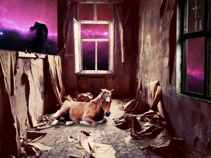 Цифровое искусство под названием "Space Horse" - Pia Valentin Sørensen, Подлинное произведение искусства, Фотомонтаж