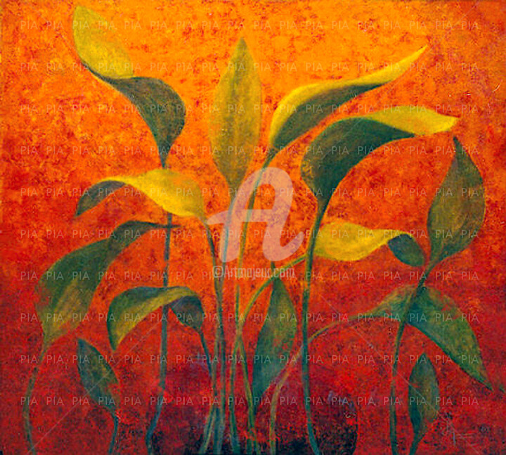 Pintura titulada "DANZA CON EL SOL" por Pia * Cantos Floridos, Obra de arte original, Oleo