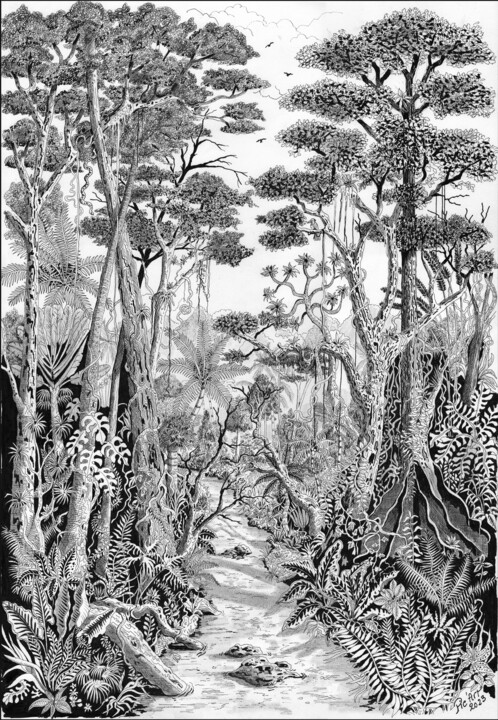 Drawing titled "Forêt tropicale" by Pic Art, Original Artwork, Ink