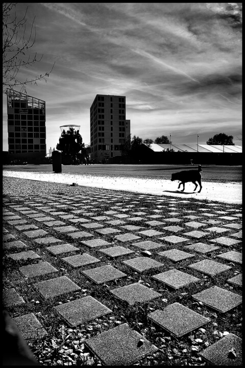 Photographie intitulée "Ile de Nantes 2117" par Picrate, Œuvre d'art originale, Photographie numérique