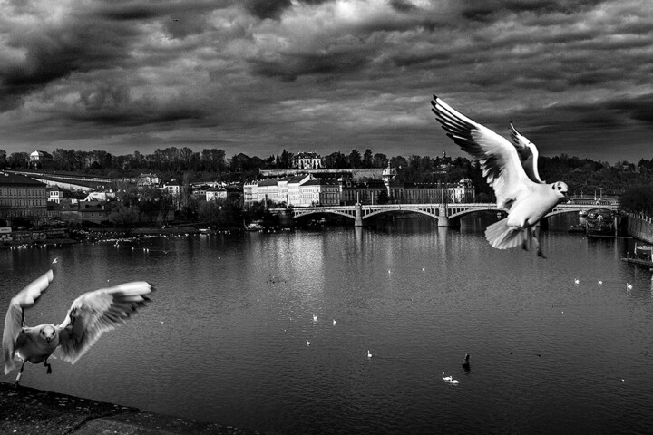 Photography titled "Prague 4" by Picrate, Original Artwork