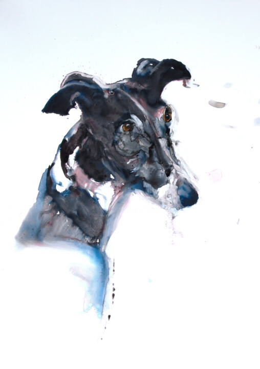 Peinture intitulée "Galgo Pasha" par Pierre Alix, Œuvre d'art originale, Aquarelle