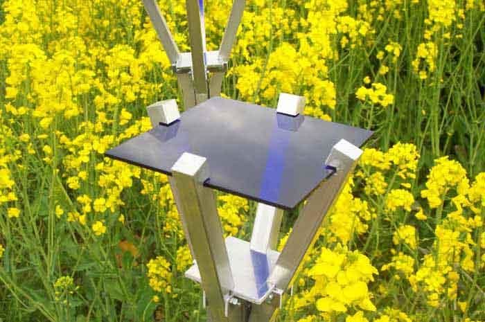 Sculpture titled "Héliotropes bleus" by Pierre Auboiron, Original Art,