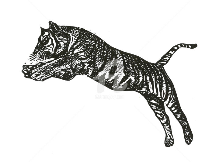 Gravures & estampes intitulée "Tigre du Bengale" par Pierre Bara, Œuvre d'art originale, Linogravures