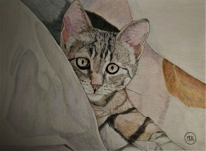 Dessin intitulée "Petit chat tigré" par Pierre Bayet, Œuvre d'art originale, Crayon