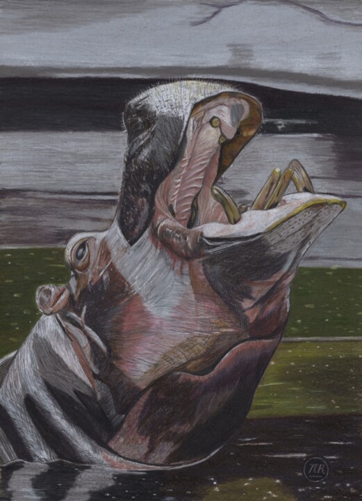 Disegno intitolato "Un hippopotame émer…" da Pierre Bayet, Opera d'arte originale, Matita