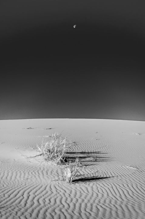 Photographie intitulée "Lever de lune" par Pierre Coiffard, Œuvre d'art originale, Photographie numérique