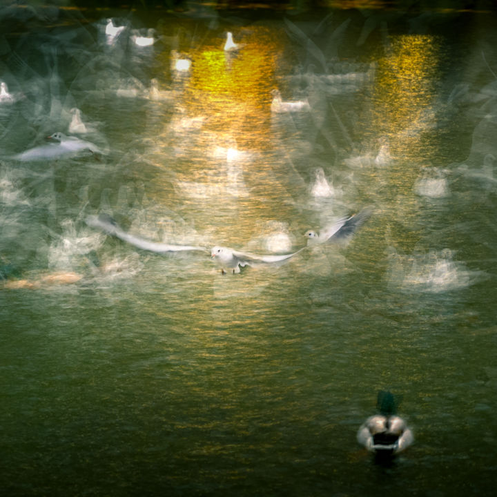 Fotografía titulada "Ghost #10" por Pierre Duquoc, Obra de arte original, Fotografía digital