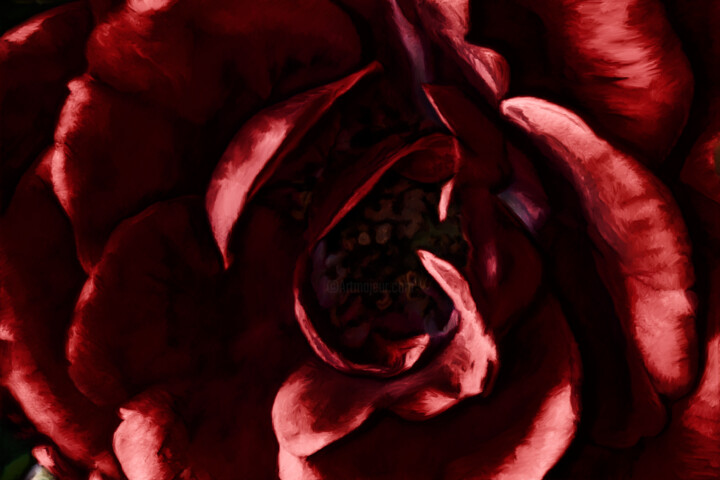 Фотография под названием "Coeur de rose" - Pierre-Marie Fenech, Подлинное произведение искусства, Манипулированная фотография