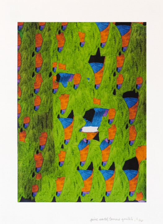 Disegno intitolato "tannerie genitale" da Pierre Martel, Opera d'arte originale, Matite colorate