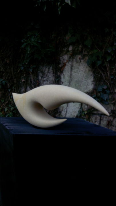 雕塑 标题为“img-20141209-150627…” 由Pierre-Olivier Cappello, 原创艺术品