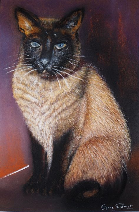 Malarstwo zatytułowany „chat siamois” autorstwa Pierre Patenet, Oryginalna praca, Pastel