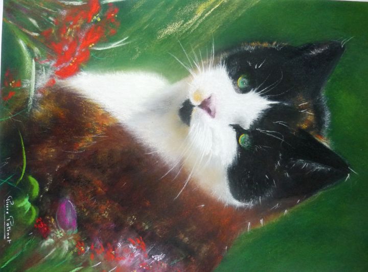 Pintura intitulada "Le chat au jardin." por Pierre Patenet, Obras de arte originais, Pastel