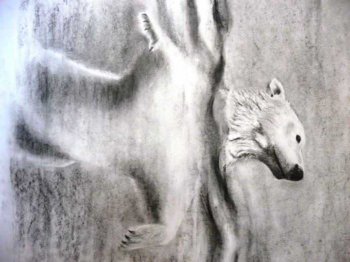 Dessin intitulée "L'ours blanc" par Pierre Patenet, Œuvre d'art originale, Fusain