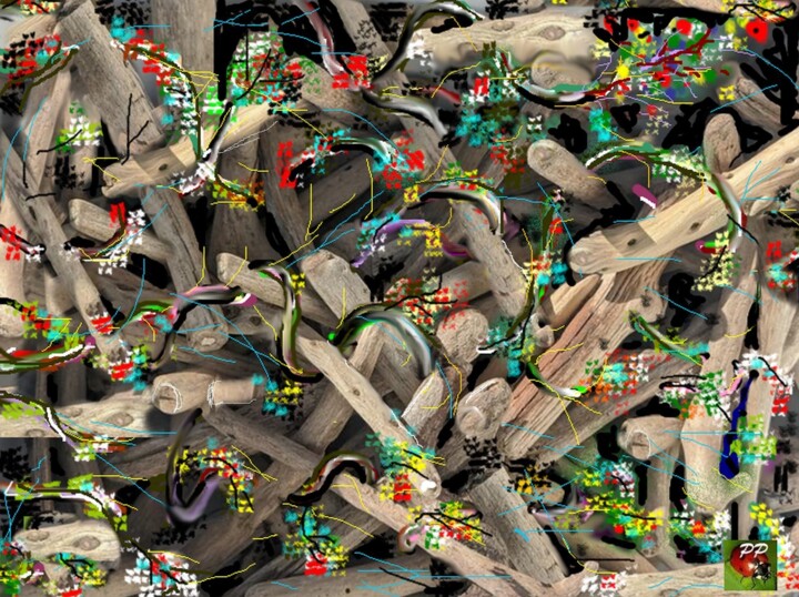 Digitale Kunst getiteld "BOIS PAS MORT" door Pierre Peytavin, Origineel Kunstwerk, Foto Montage