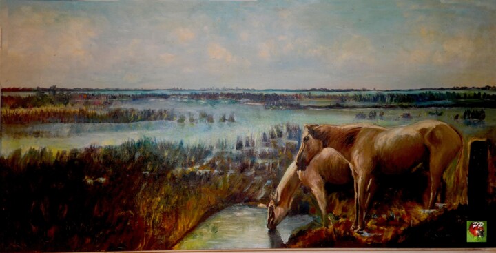 Painting titled "Camargue" by Pierre Peytavin, Original Artwork, Oil