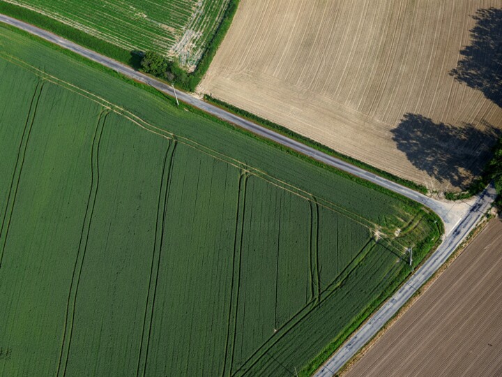 Photography titled "Polder 13 - Agricul…" by Pierre Piton, Original Artwork, Digital Photography