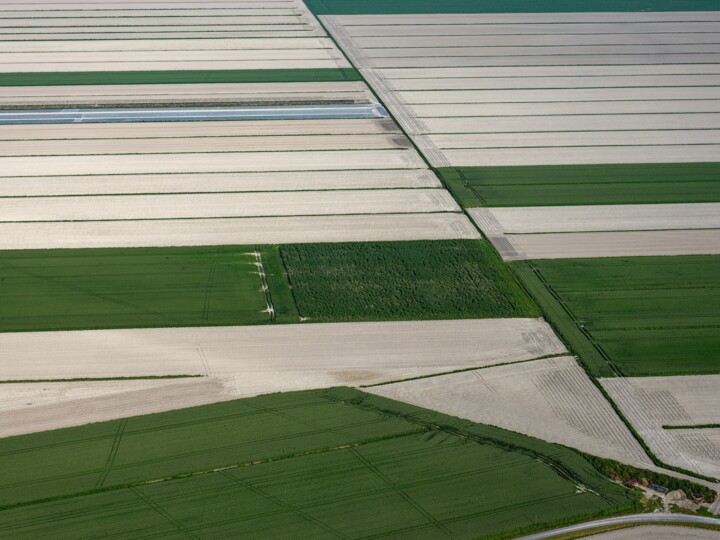 Fotografie getiteld "Polder 15 - Agricul…" door Pierre Piton, Origineel Kunstwerk, Digitale fotografie