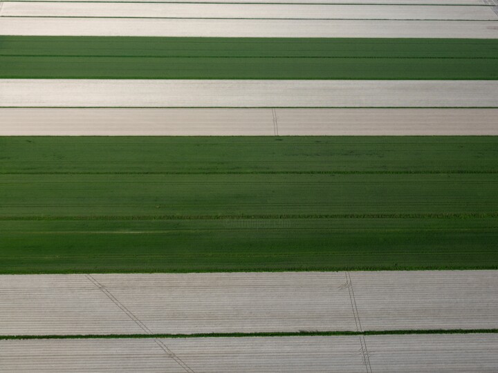Fotografie getiteld "Polder 16 - Agricul…" door Pierre Piton, Origineel Kunstwerk, Digitale fotografie