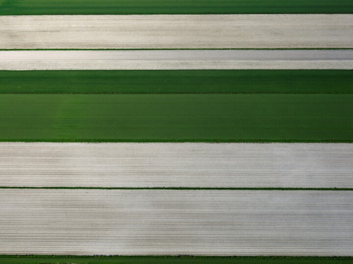Photography titled "Polder 17 - Agricul…" by Pierre Piton, Original Artwork, Digital Photography