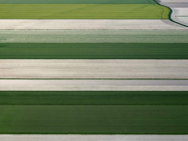 Fotografía titulada "Polder 18 - Agricul…" por Pierre Piton, Obra de arte original, Fotografía digital