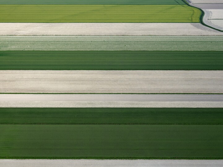 Fotografia intitulada "Polder 18 - Agricul…" por Pierre Piton, Obras de arte originais, Fotografia digital