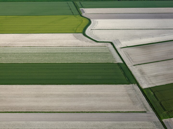 Fotografie getiteld "Polder 19 - Agricul…" door Pierre Piton, Origineel Kunstwerk, Digitale fotografie