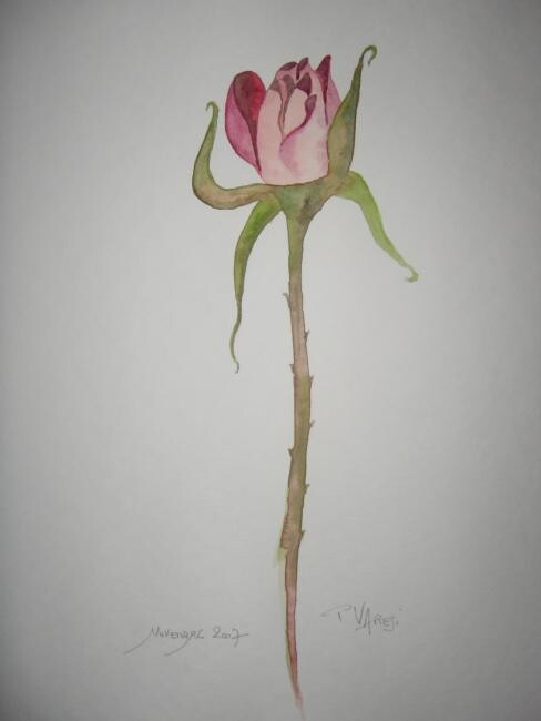 Peinture intitulée "Rose tulipée" par Pierre Varési Pierre, Œuvre d'art originale