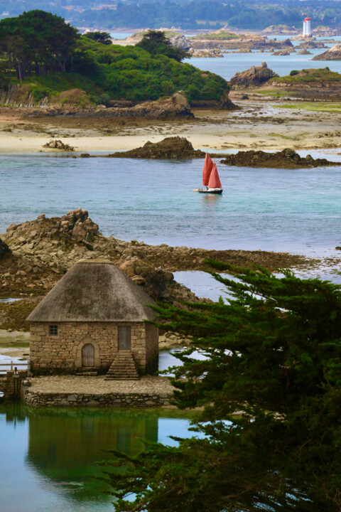 Photographie intitulée "Ile de Bréhat, Bret…" par Pierre-Yves Rospabé, Œuvre d'art originale, Photographie numérique