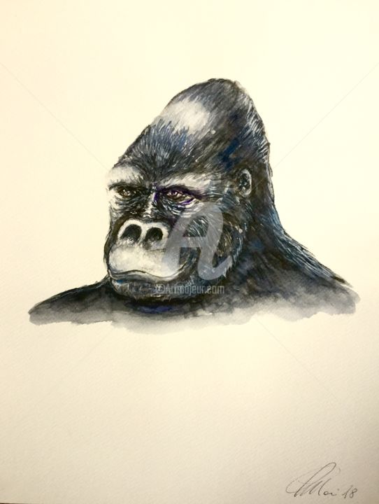 Malerei mit dem Titel "Gorilla of mountain" von Pietro Mari, Original-Kunstwerk, Aquarell