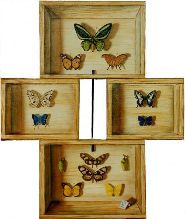 Malerei mit dem Titel "Papillons" von Pim, Original-Kunstwerk