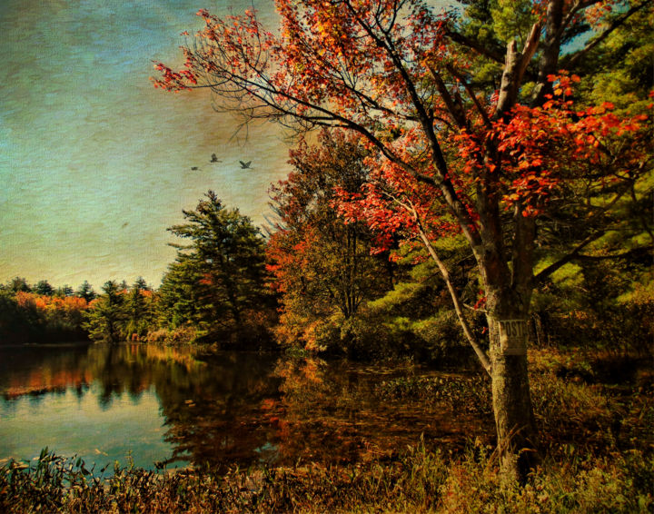 Digital Arts titled "Autumnal Walk" by Pine Singer, Original Artwork
