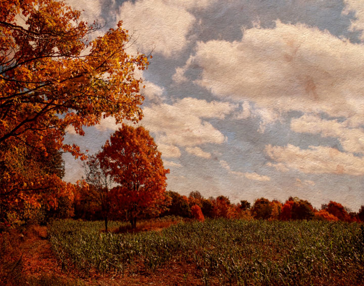 Digital Arts titled "Autumn Crops" by Pine Singer, Original Artwork