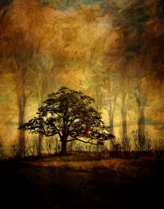 Digital Arts titled "Peaceful Tree" by Pine Singer, Original Artwork