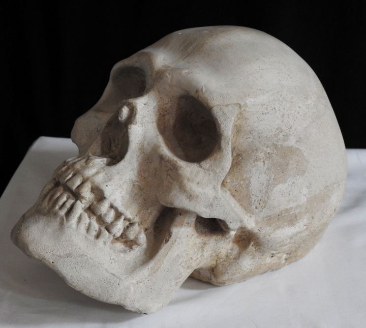 Sculpture titled "Skull #5#" by Pio30, Original Artwork, Other
